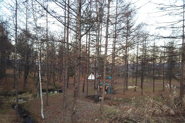 北軽井沢　どんぐり山の一番星キャンプ場